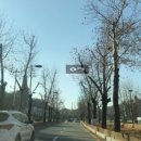 분평1단지뜨란채아파트 이미지