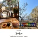 가평 벚꽃 리버뷰 카페 코미호미 북한강카페 내돈내산 후기! 벚꽃 실황(250411)