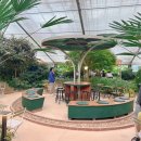 고창타조농장 이미지