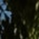 올굿마취통증의학과의원 이미지