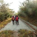 헌복동1 이미지