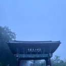 수암건축 | [고성 금강산 성인대/신선대] 역대급 울산바위 운해 대반전 스토리와 등산코스 총정리