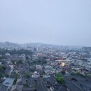 정인운수 이미지