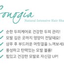 소노지아 이미지