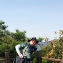 업성초 이미지