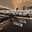 크레이지독스짐 이미지