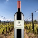산 지우스토 아 렌텐나노 San Giusto a Rentennano 6종 (Vinous 100점 Percarlo 2020, Baroncole, Vin...