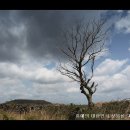 제주하늘바람 이미지