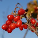 무한공간 이미지