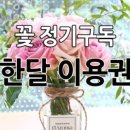 플라로마
