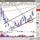 세명중기 이미지