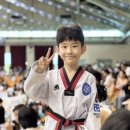 용인대금메달태권도 이미지