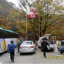 매화산주유소 Daum카페