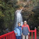 오렌터카 이미지