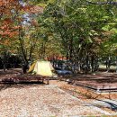 수승대관광지 야영데크 이미지