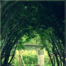 수완코오롱하늘채 이미지