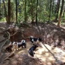 황토대중탕 이미지