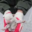 가회초등학교 이미지