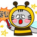 제주잇다