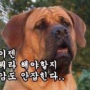 ◆입만 열면 번복하는 이재명과 날라리 촉새 유시민 입 이미지