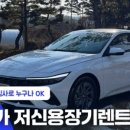 장기렌트카 이미지