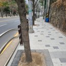 광덕산로 이미지