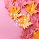 산책동물병원 이미지