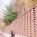 황소한우머리국밥