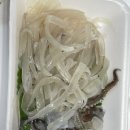 세종수산 이미지