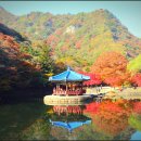 내장 신선교 | 전라도 가을 명소 내장산 우화정 내장사 입장료 주차료 단풍 절정시기 코스 생태탐방원 순환버스 케이블카