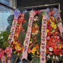 신탄만도프라자 이미지