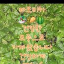 흙과삶농장 이미지