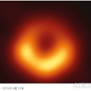 팀 펜로즈 이미지