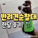 복장의식집 | 반려견 순찰대 심사 후 합격 그리고 한달 후기
