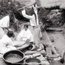 한국유통법흥점 | 개고기 먹는 것이 풍속이나 문화가 될수 없는 이유