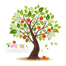 종로안경 이미지