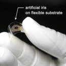 경희콘택트렌즈 이미지