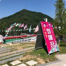 감자네토종닭