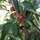 최가네농장 이미지