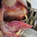 가능동물병원 이미지