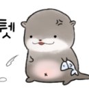 데시네