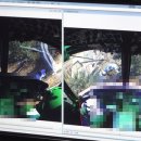 중앙해독센터 이미지