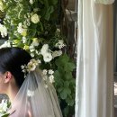 [Wedding 후기] 아현정 웨딩홀 / 효제브라이덜웨딩 / 대구 웨딩박수진플래너