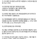 🇹🇭 태국 방콕 맛집, 여행지, 어플, 호텔, 쇼핑리스트, 꿀팁 다 모았다!