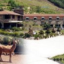 송화관광농원 이미지