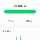 경주카 이미지