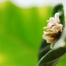 천리향한의원 이미지