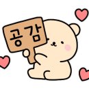 카멜래쉬 이미지