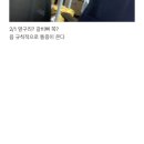 경원OK공인중개사사무소 | 1박 2일 jeju 🌺