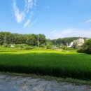 방삼(칠곡리) 이미지